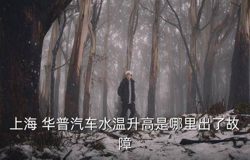 上海 华普汽车水温升高是哪里出了故障