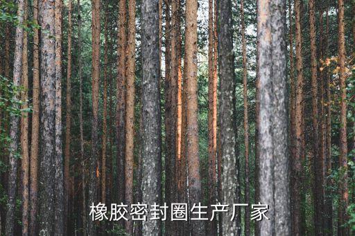  橡胶密封圈生产厂家