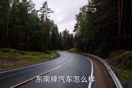 东南牌汽车怎么样