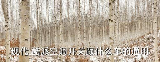 现代 酷派空调开关跟什么车的通用