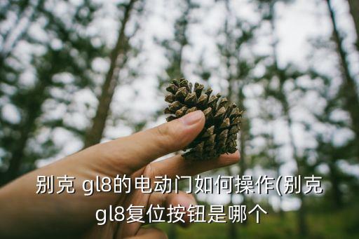 别克 gl8的电动门如何操作(别克 gl8复位按钮是哪个