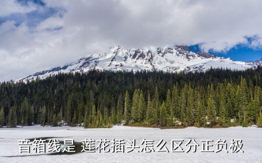 音箱线是 莲花插头怎么区分正负极