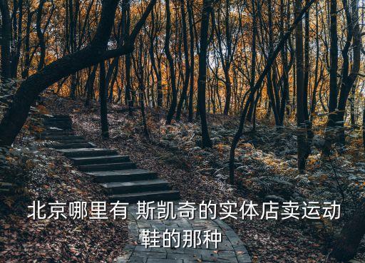  北京哪里有 斯凯奇的实体店卖运动鞋的那种