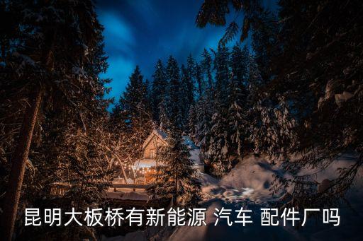 昆明大板桥有新能源 汽车 配件厂吗