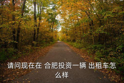 请问现在在 合肥投资一辆 出租车怎么样