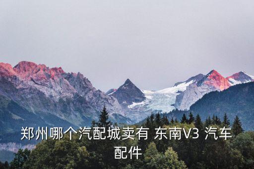郑州哪个汽配城卖有 东南V3 汽车 配件