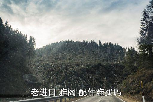 雅阁配件