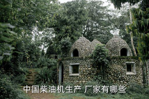 中国柴油机生产 厂家有哪些
