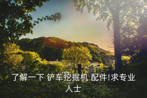 了解一下 铲车挖掘机 配件!求专业人士