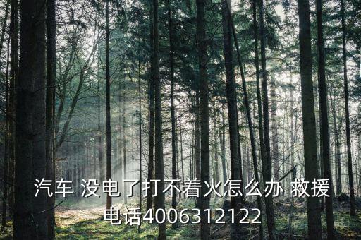  汽车 没电了打不着火怎么办 救援 电话4006312122