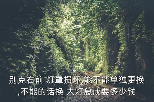 别克右前 灯罩损坏,能不能单独更换,不能的话换 大灯总成要多少钱