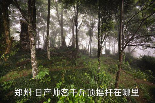 惠阳日产汽车配件,惠阳汽车配件批发市场
