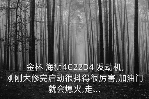  金杯 海狮4G22D4 发动机,刚刚大修完启动很抖得很厉害,加油门就会熄火,走...
