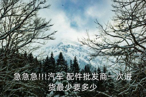 急急急!!!汽车 配件批发商一次进货最少要多少