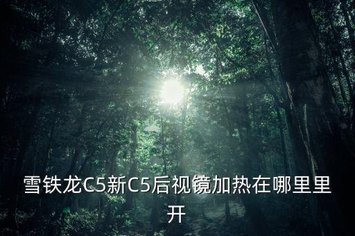 雪铁龙C5新C5后视镜加热在哪里里开