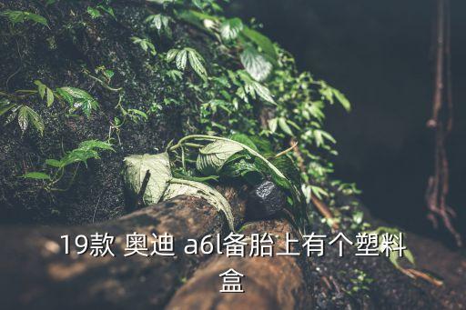19款 奥迪 a6l备胎上有个塑料盒