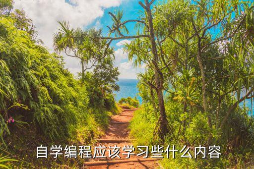  自学编程应该学习些什么内容