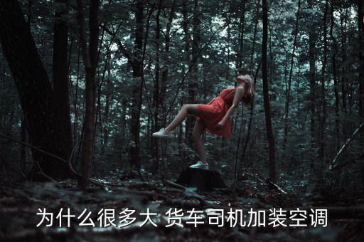 为什么很多大 货车司机加装空调