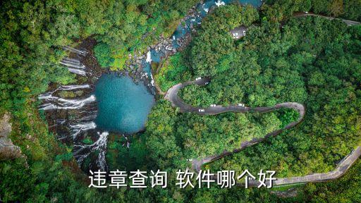  违章查询 软件哪个好