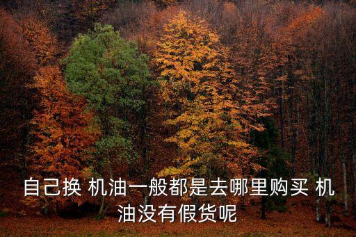 自己换 机油一般都是去哪里购买 机油没有假货呢