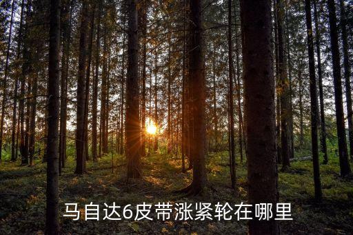 马自达6皮带涨紧轮在哪里