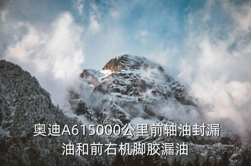  奥迪A615000公里前轴油封漏油和前右机脚胶漏油