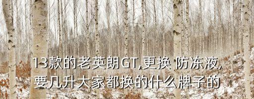 13款的老英朗GT,更换 防冻液,要几升大家都换的什么牌子的