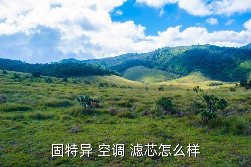 固特异 空调 滤芯怎么样
