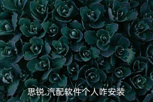思锐 汽配软件个人咋安装