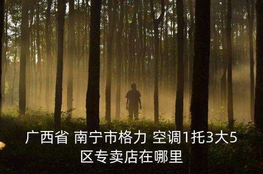 广西省 南宁市格力 空调1托3大5区专卖店在哪里
