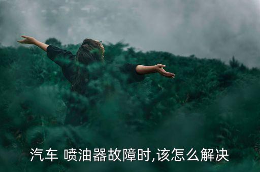 汽车 喷油器故障时,该怎么解决