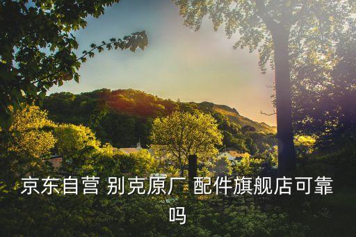 别克汽车配件供应商,别克君越汽车配件大全