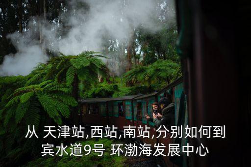从 天津站,西站,南站,分别如何到宾水道9号 环渤海发展中心