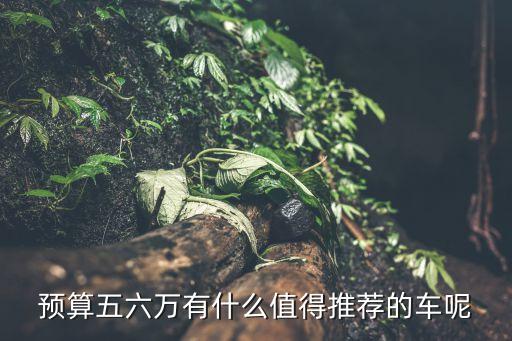 预算五六万有什么值得推荐的车呢