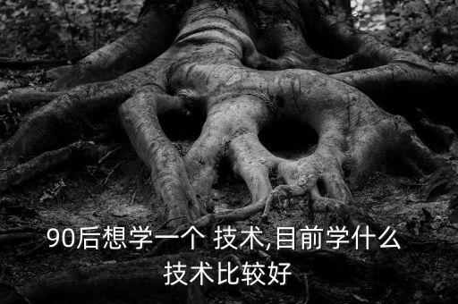 90后想学一个 技术,目前学什么 技术比较好