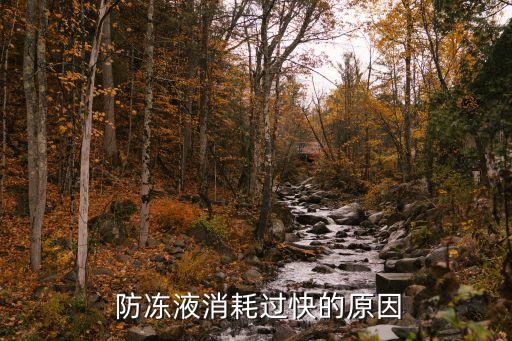 防冻液少的快是什么