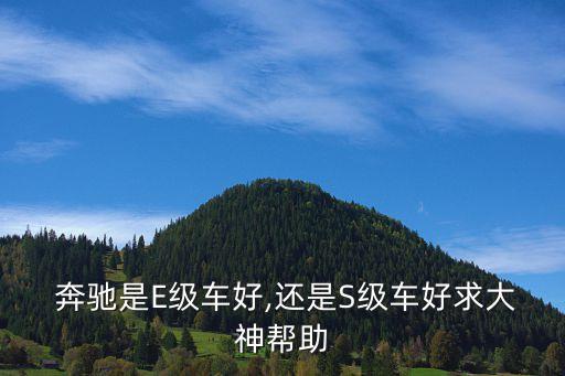  奔驰是E级车好,还是S级车好求大神帮助