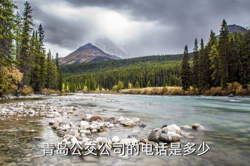  青岛公交公司的电话是多少