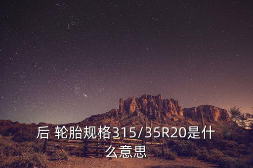 后 轮胎规格315/35R20是什么意思