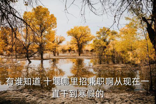 有谁知道 十堰哪里招兼职啊从现在一直干到寒假的