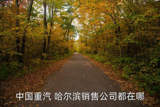 中国重汽 哈尔滨销售公司都在哪