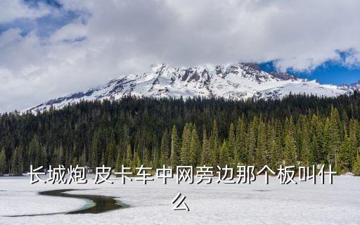  长城炮 皮卡车中网旁边那个板叫什么