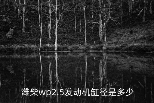  潍柴wp2.5发动机缸径是多少