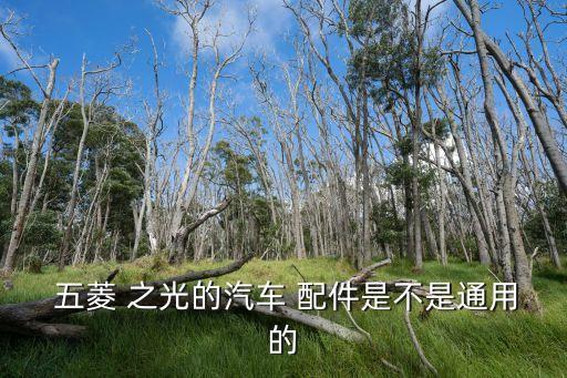  五菱 之光的汽车 配件是不是通用的