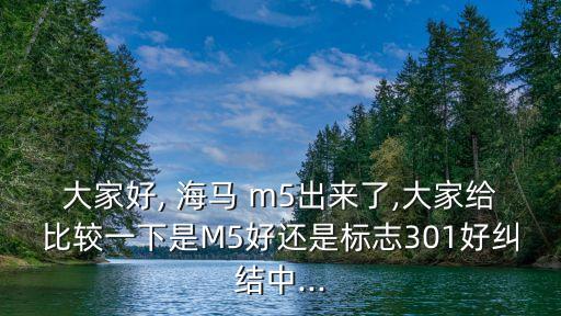 大家好, 海马 m5出来了,大家给比较一下是M5好还是标志301好纠结中...