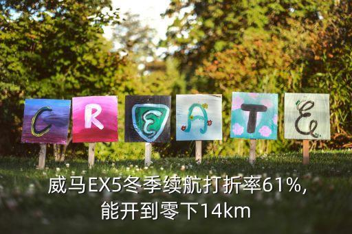  威马EX5冬季续航打折率61%,能开到零下14km