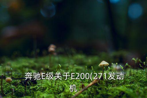  奔驰E级关于E200(271发动机