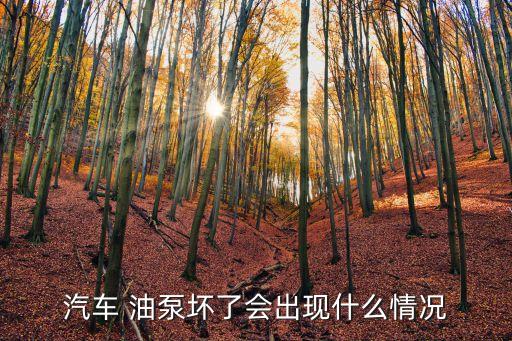 汽车 油泵坏了会出现什么情况