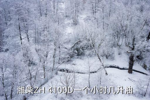 维坊4100多少千瓦,4100柴油机多大马力