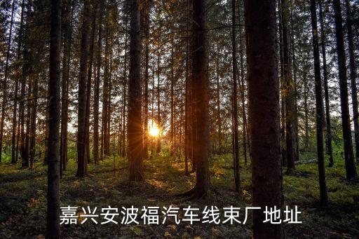  嘉兴安波福汽车线束厂地址